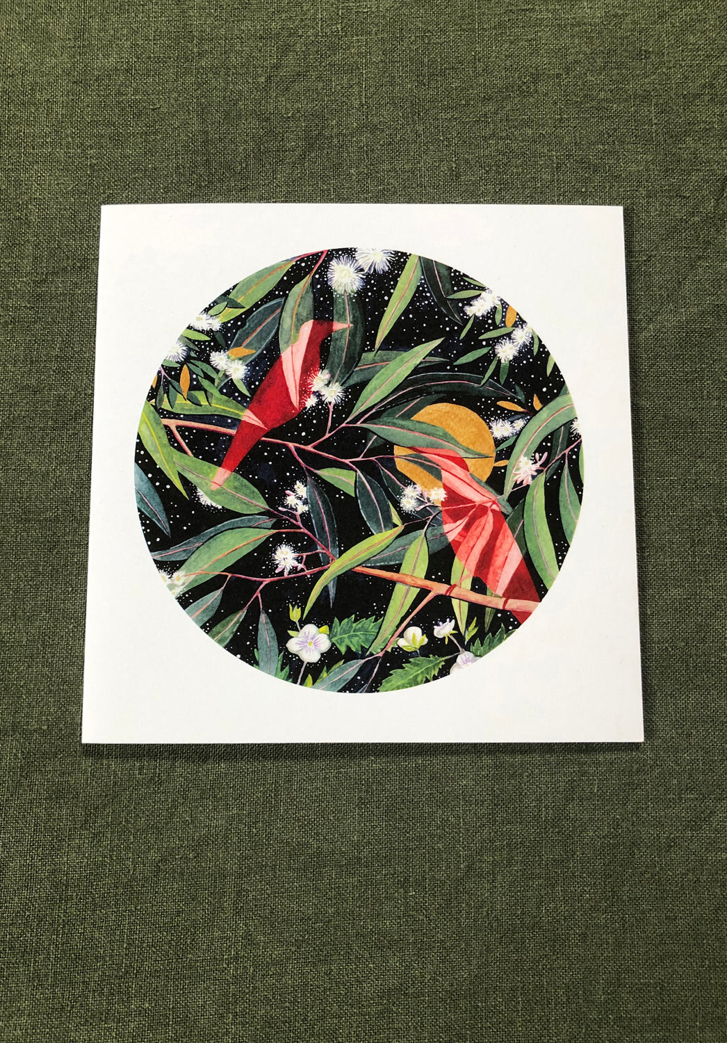 australian artists, botanical art cards