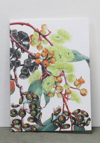 greeting cards, australian made greeting cards, printed greeting cards