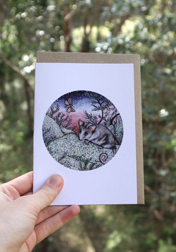 Mountain Pygmy Possum