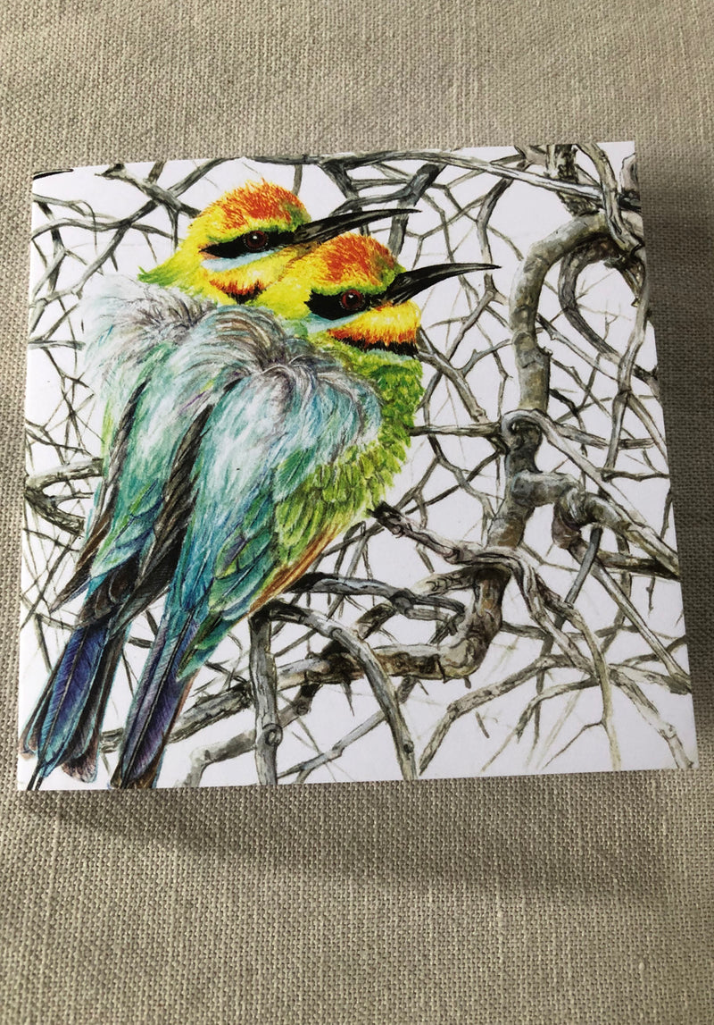 Rainbow Bee-Eaters - Square Card