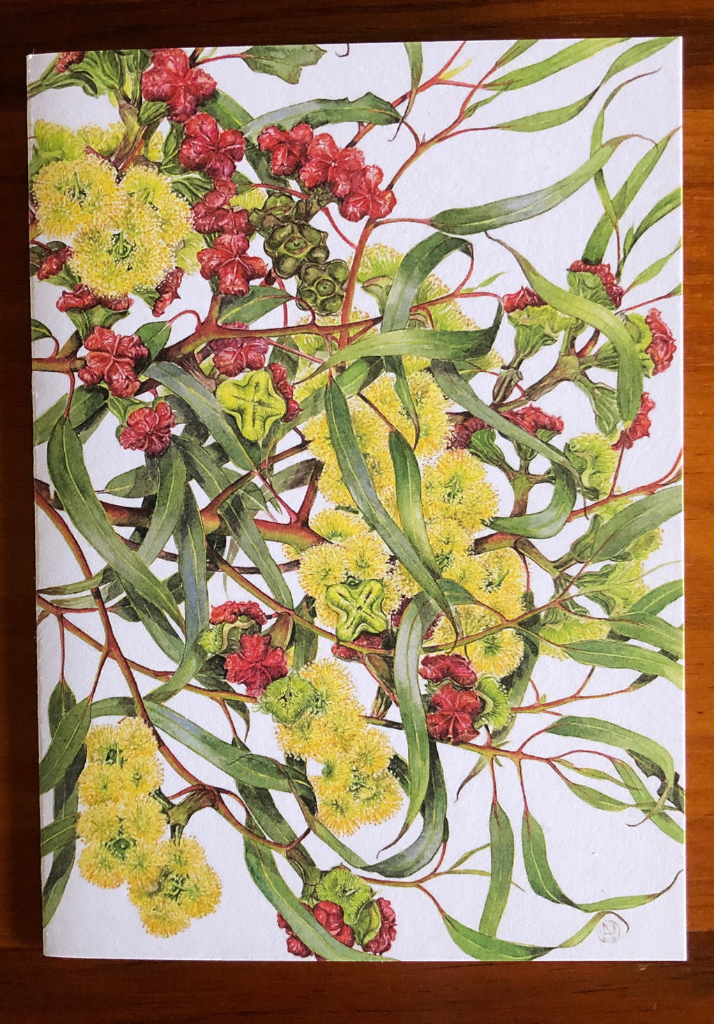 australian botanical prints, printed greeting cards