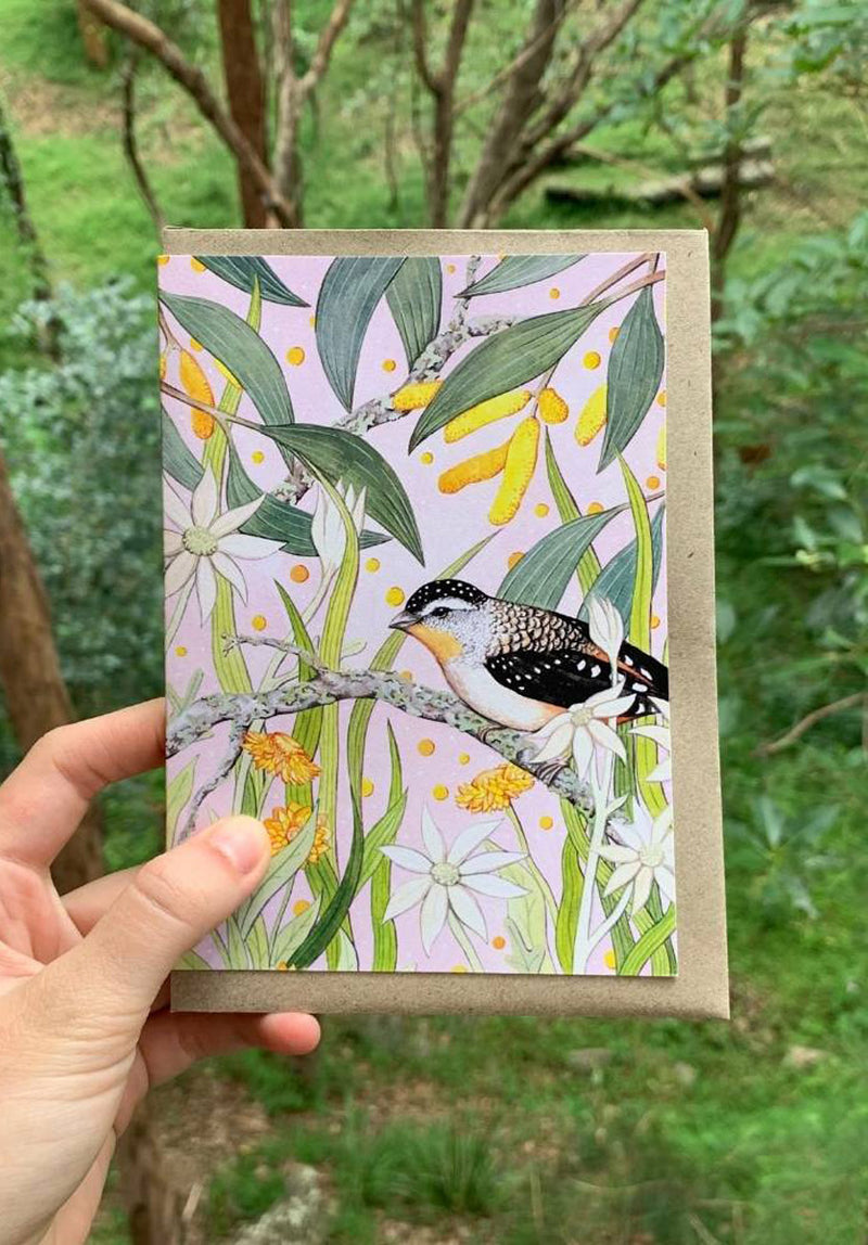 Spotted Pardalote Greeting Card
