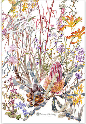 tea towels australia, australian made tea towels