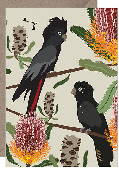 Black Cockatoos Firewood Banksia Card