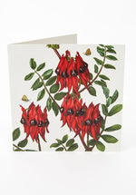 friendship greeting card, botanical cards Australia